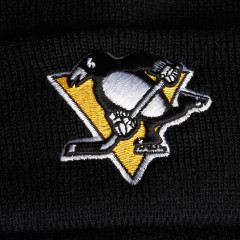 Шапка A&C PITTSBURGH 59043