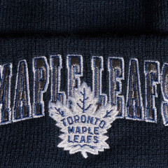 Шапка A&C TORONTO 59223