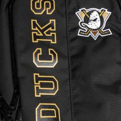 Рюкзак спортивный A&C ANAHEIM 58220