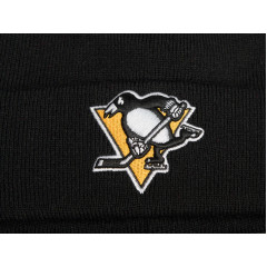Шапка A&C PITTSBURGH 59377