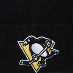 Шапка A&C PITTSBURGH 59052