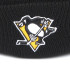 Шапка A&C PITTSBURGH 59410