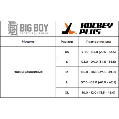 Носки хоккейные BIG BOY Champ 